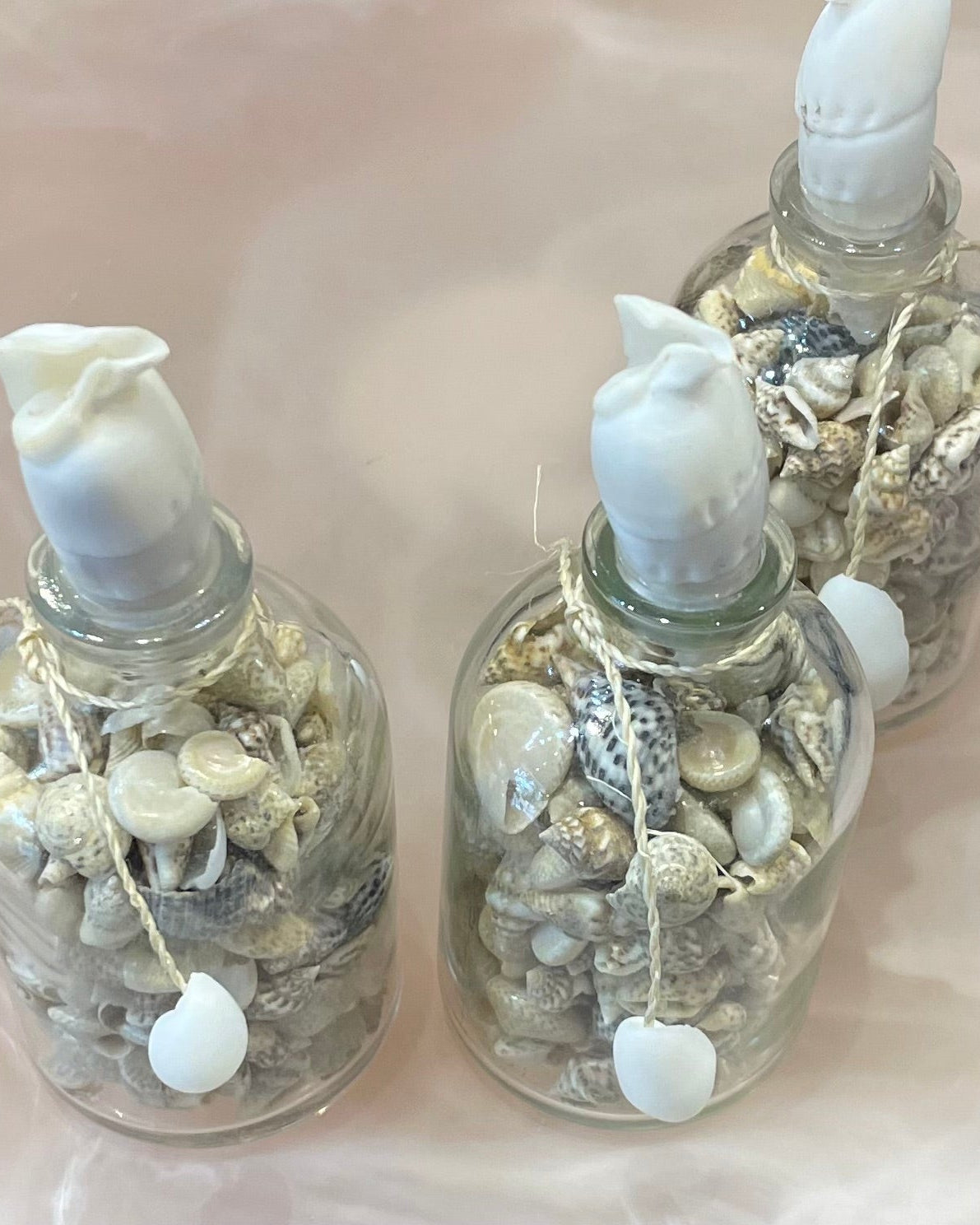 Sea Shells in a Mini Glass Bottle