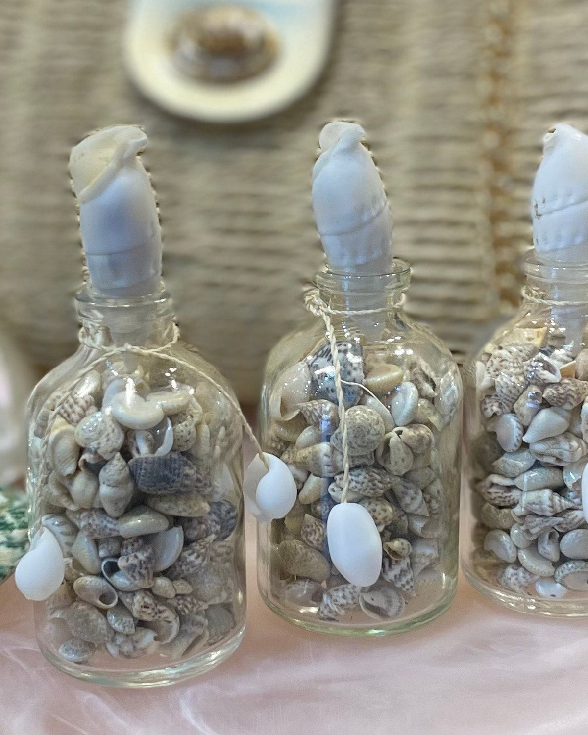 Sea Shells in a Mini Glass Bottle