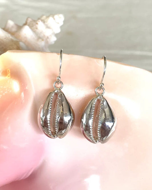 Tasmanian Cowrie Shell Earrings Sterling Silver