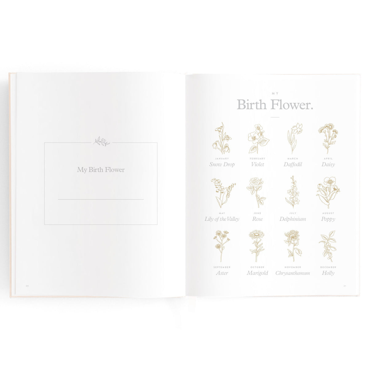 Baby Memories & Milestone Journal in Buttermilk (Boxed)