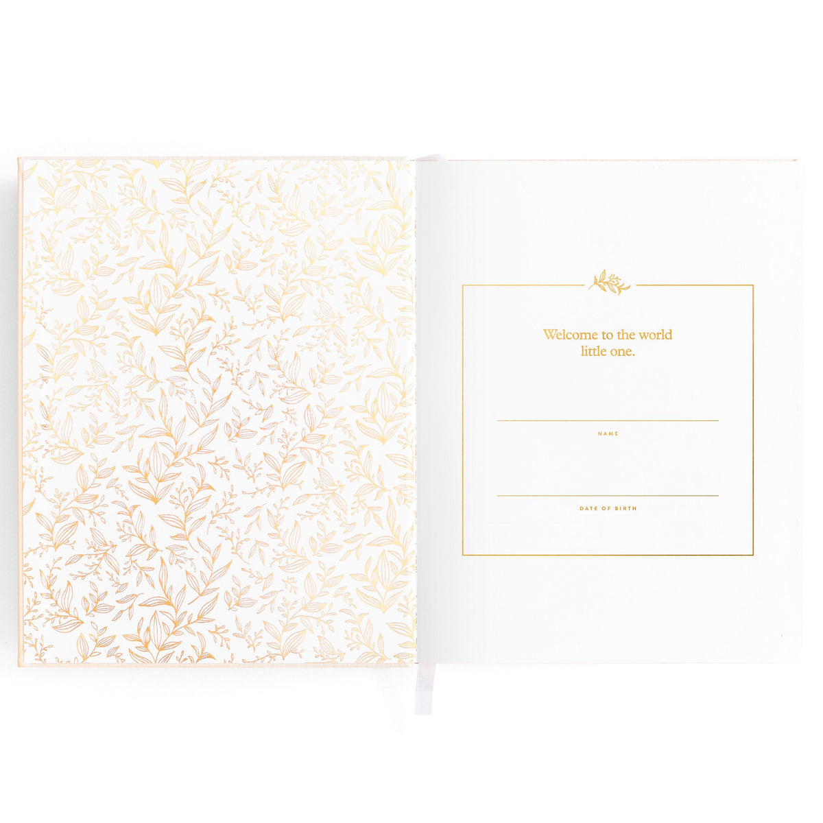 Baby Memories & Milestone Journal in Buttermilk (Boxed)